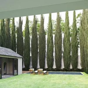 Embora Shawn Mendes tenha o Canadá como base, o artista também mantém residência nos Estados Unidos.