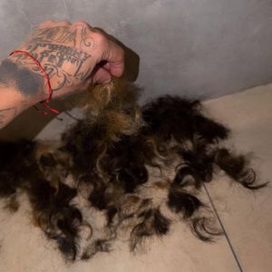 Em janeiro deste ano, Zé Felipe cortou os cabelos após 1 ano