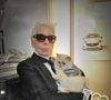 Karl Lagerfeld deixou parte de sua herança para sua gata, Choupette. O valor é avaliado em cerca de R$ 8,7 milhões