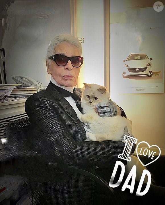 Karl Lagerfeld deixou parte de sua herança para sua gata, Choupette. O valor é avaliado em cerca de R$ 8,7 milhões