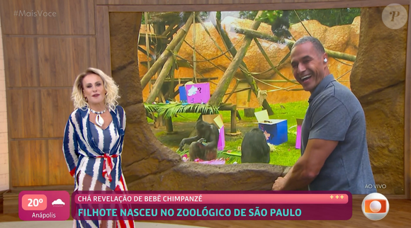 Parecia uma festa infantil: veja detalhes do chá-revelação do macaco ao vivo no 'Mais Você', de Ana Maria Braga