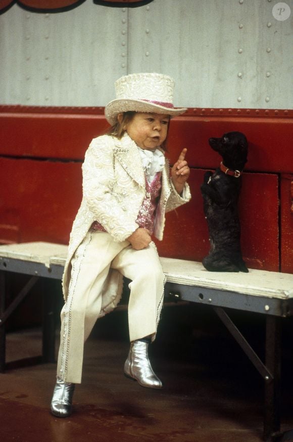 Michu Meszaros era o artista que vestia a fantasia de Alf para as cenas nas quais o alienígena aparecia de corpo inteiro