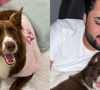 ‘Agiu como se fosse descartável': Lucas Guedez é acusado de abandonar cachorrinha em creche; influenciador circula com uma nova cadela