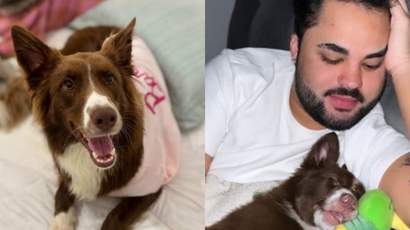 ‘Agiu como se fosse descartável': Lucas Guedez é acusado de abandonar cachorrinha em creche; influenciador circula com uma nova cadela