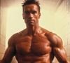 Arnold Schwarzenegger e Sylvester Stallone foram dois dos maiores ícones do cinema de ação dos anos 80 e 90