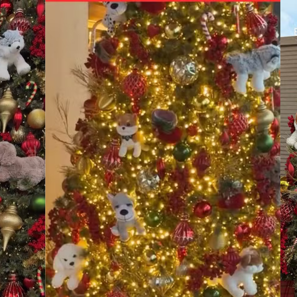 Inovação total! A apresentadora Sabrina Sato, esposa de Nicolas Prattes, realizou o desejo da filha Zoe e montou uma árvore de Natal decorada com cachorrinhos. Isso mesmo: centenas de pelúcias ornamentam a árvore de mais de dois metros de altura