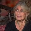 Por que único filho de Brigitte Bardot foi criado longe da mãe famosa? Artista fez duras declarações sobre maternidade