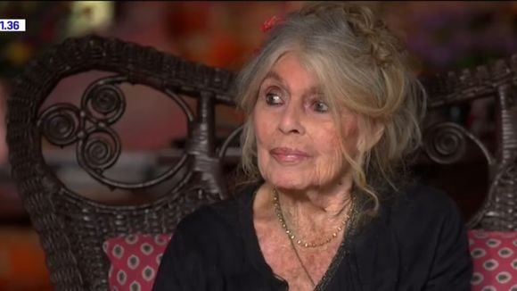 Por que único filho de Brigitte Bardot foi criado longe da mãe famosa? Artista fez duras declarações sobre maternidade