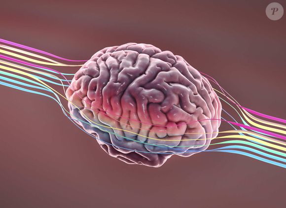 Existem explicações para esse comportamento? O Purepeople consultou José Yuri de Souza Feijão, psicólogo clínico (CRP 05/68921). Volte na matéria principal e leia a reportagem!