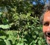 Marcos Palmeira vive uma vida tranquila no local, cercado pela natureza