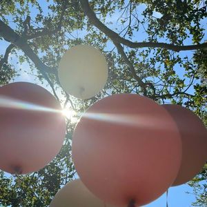 Gisele Bündchen escolheu 5 balões e algumas flores para decorar sua festinha de aniversário