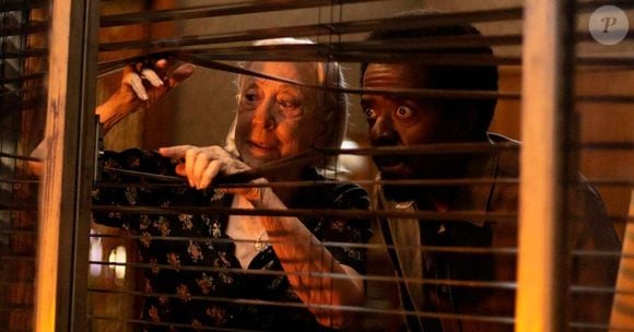 Entre os filme estão os longas 'Ainda Estou Aqui', de Walter Salles, com licença apenas para o Brasil, e 'Vitória', de Andrucha Waddington, com distribuição global