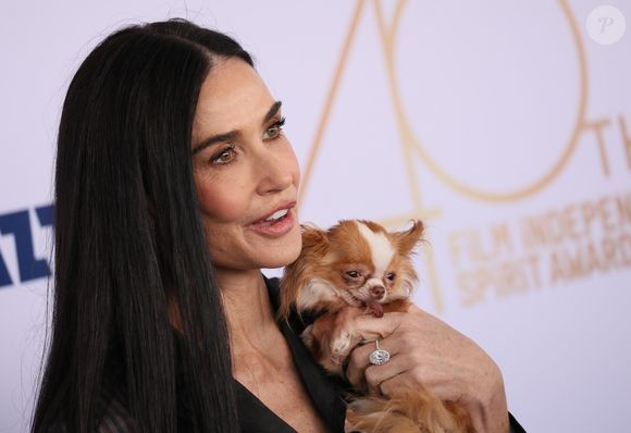 Pilaf, a cachorrinha de Demi Moore, recebeu um apelido carinhoso de sua tutora - 'Ratinho'.