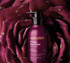 Inspirada na rosa turca, nova linha Nativa SPA Rosas Secretas une intensidade e sofisticação com preço competitivo