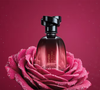 O encontro da rosa com a Gardênia no Floratta Rose Sucrée e as notas amadeiradas cria uma fragrância sofisticada, ideal para quem gosta de perfumes florais com personalidade