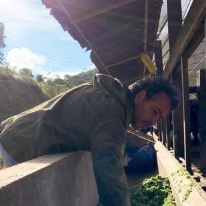 Ator Marcos Palmeira mantém projeto de restauração ambiental em sua fazenda de Teresópolis, que prevê a plantação e a regeneração de 200 mil árvores nativas