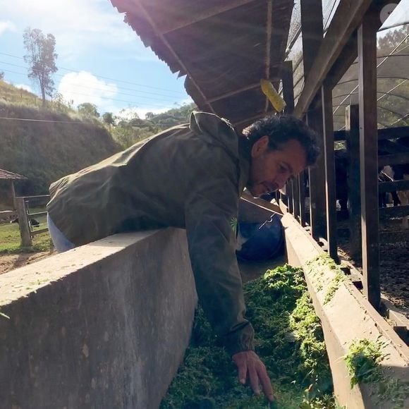 Ator Marcos Palmeira mantém projeto de restauração ambiental em sua fazenda de Teresópolis, que prevê a plantação e a regeneração de 200 mil árvores nativas