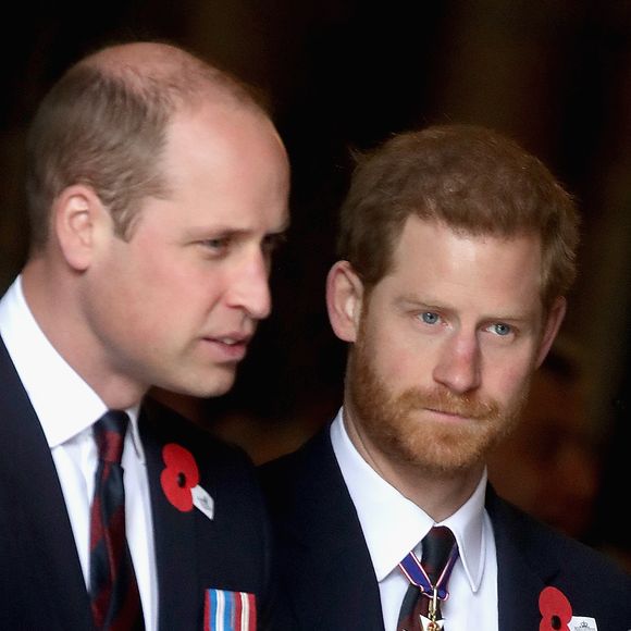 Segundo os relatos, conforme destacou o 'Daily Mail', Harry e William tinham receio da repercussão negativa das comparações que poderiam surgir com a Princesa Diana.