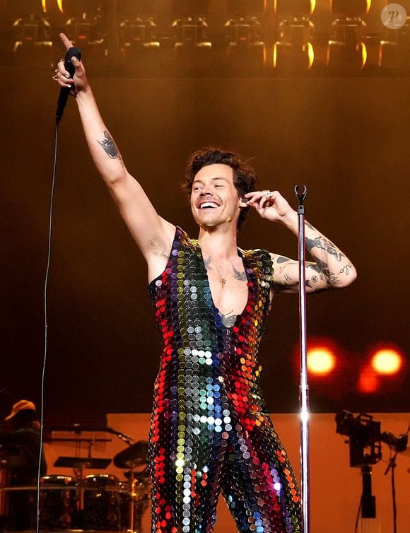 Harry Styles virou pescetariano por causa de sua equipe de shows, que fazia comidas veganas e o inspirou a parar de comer carne vermelha