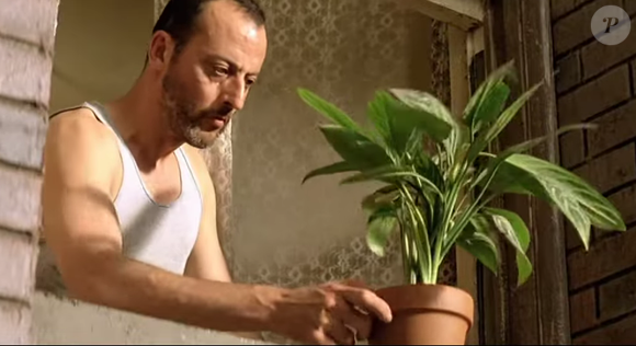 De acordo com a psicologia, cultivar elementos naturais em casa pode diminuir a ansiedade, já que a sua mente se desconecta com o ambiente externo.