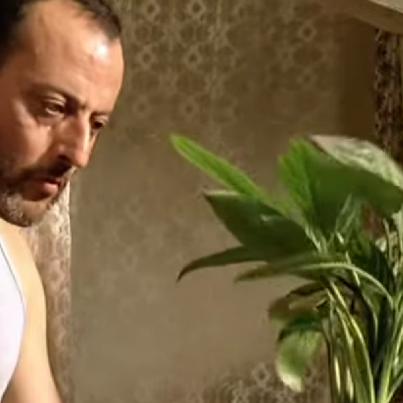 De acordo com a psicologia, cultivar elementos naturais em casa pode diminuir a ansiedade, já que a sua mente se desconecta com o ambiente externo.