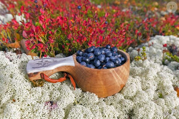 Geralmente, mirtilos cultivados são maiores, mais doces e menos ácidas, mas por serem cultivados perdem nutrientes preciosos